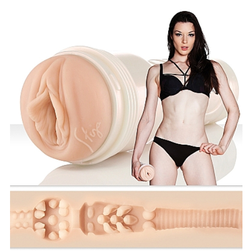 n10889-fleshlight_stoya_destroya-1.jpg