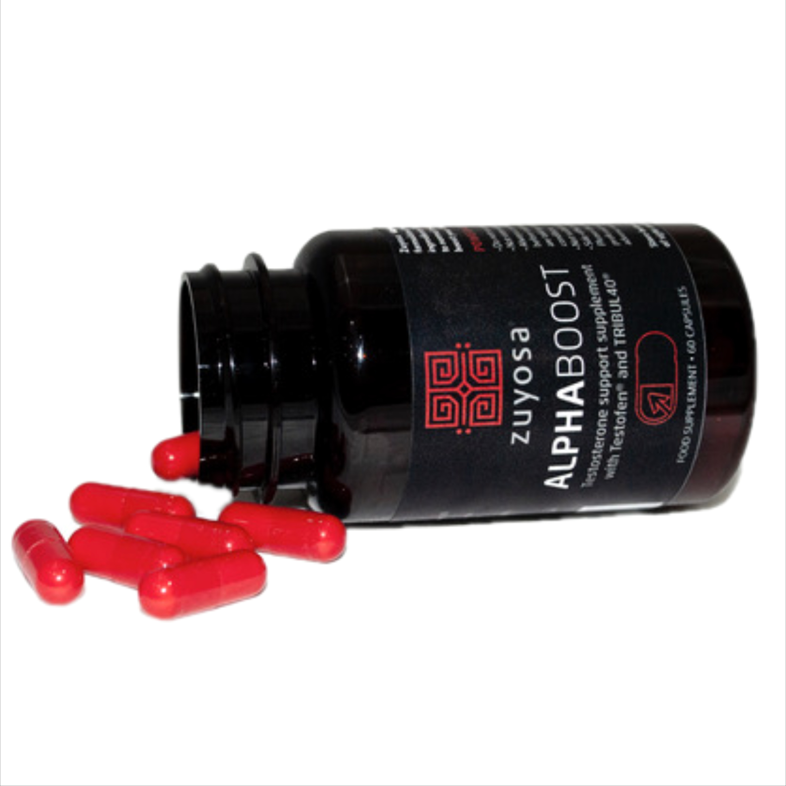 n11023-zuyosa-alphaboost-supplement-1-hr.jpeg n11023-zuyosa-alphaboost-supplement-1-hr.jpeg
