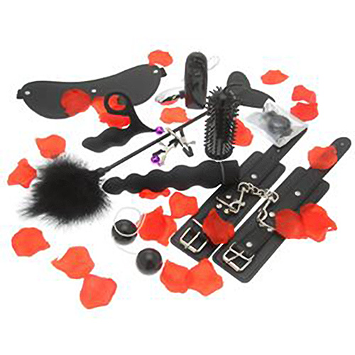 n9051-toy_joy_love_toy_starter_kit-2.jpg n9051-toy_joy_love_toy_starter_kit-2.jpg
