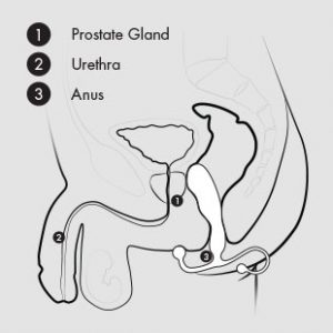 prostate-massagers-easy-to-use.jpg