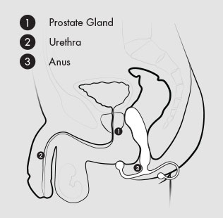 prostate-massagers-easy-to-use.jpg